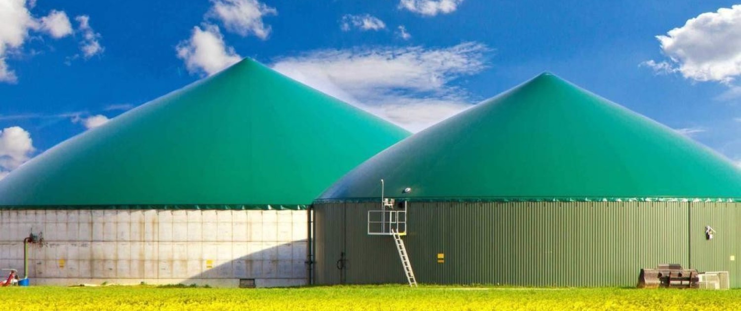 Biogas_Produktion_durch_Pflanzenkohle_wirtschaftlich_und_oekologisch_optimieren-1080x675