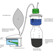 BPC® Blue - Aerobic-illustration-Blue94-1024x791
